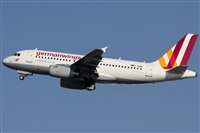Rubn Gil - Noisy Spotters. Click to see full size photo