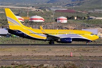 Miguel A. gueda Rguez.  (CANARY ISLANDS SPOTTING). Haz click para ampliar
