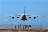 ©J. Victor Vega-Gran Canaria Spotters. Click to see full size photo ©J. Victor Vega-Gran Canaria Spotters. Click to see full size photo