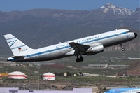 ©Alfonso Solís - Asociación Canary Islands Spotting. Click to see full size photo ©Alfonso Solís - Asociación Canary Islands Spotting. Click to see full size photo