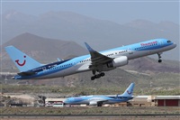 ©Alfonso Solís - Asociación Canary Islands Spotting. Click to see full size photo ©Alfonso Solís - Asociación Canary Islands Spotting. Click to see full size photo