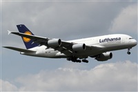 Rubn Gil - Noisy Spotters. Click to see full size photo