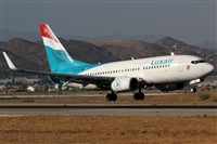 Rubn Gil - Noisy Spotters. Click to see full size photo