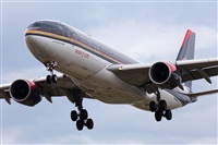 Miguel Alia - Noisy Spotters. Click to see full size photo