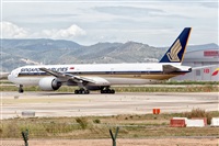 Javier de la Cruz - CANARY ISLANDS SPOTTING. Click to see full size photo
