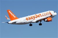 Alfonso Sols - Asociacin Canary Islands Spotting. Click to see full size photo