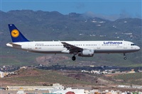 ©Adolfo Bento - Gran Canaria Spotters. Click to see full size photo ©Adolfo Bento - Gran Canaria Spotters. Click to see full size photo