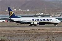 ©Alfonso Solís - Asociación Canary Islands Spotting. Click to see full size photo ©Alfonso Solís - Asociación Canary Islands Spotting. Click to see full size photo