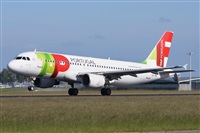 Miguel A. gueda Rguez.  (CANARY ISLANDS SPOTTING). Click to see full size photo