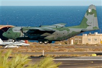 Bartolom Fernndez - Gran Canaria Spotters. Haz click para ampliar