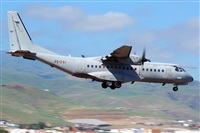 ©J. Victor Vega-Gran Canaria Spotters. Click to see full size photo ©J. Victor Vega-Gran Canaria Spotters. Click to see full size photo