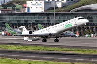 Javier de la Cruz - CANARY ISLANDS SPOTTING. Click to see full size photo