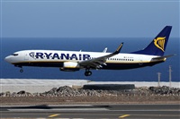 ©Alfonso Solís - Asociación Canary Islands Spotting. Click to see full size photo ©Alfonso Solís - Asociación Canary Islands Spotting. Click to see full size photo