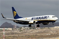 Alfonso Sols - Asociacin Canary Islands Spotting. Click to see full size photo