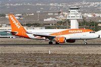 Alfonso Sols - Asociacin Canary Islands Spotting. Click to see full size photo