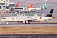 Rubn Gil - Noisy Spotters. Click to see full size photo