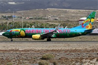 Alfonso Sols - Asociacin Canary Islands Spotting. Haz click para ampliar