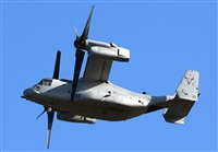 ©Alejandro H.L - Gran Canaria Spotters. Click to see full size photo ©Alejandro H.L - Gran Canaria Spotters. Click to see full size photo