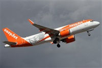 Alfonso Sols - Asociacin Canary Islands Spotting. Click to see full size photo