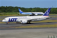 Miguel A. gueda Rguez.  (CANARY ISLANDS SPOTTING). Click to see full size photo