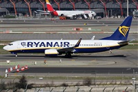 Alfonso Sols - Asociacin Canary Islands Spotting. Haz click para ampliar