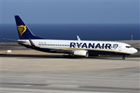 Alfonso Sols - Asociacin Canary Islands Spotting. Click to see full size photo