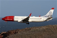 ©Alfonso Solís - Asociación Canary Islands Spotting. Click to see full size photo ©Alfonso Solís - Asociación Canary Islands Spotting. Click to see full size photo