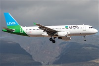 ©Adolfo Bento - Gran Canaria Spotters. Click to see full size photo ©Adolfo Bento - Gran Canaria Spotters. Click to see full size photo