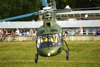 Tams. Click to see full size photo