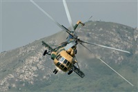 Tams. Click to see full size photo