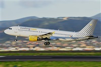 Miguel A. gueda Rguez.  (CANARY ISLANDS SPOTTING). Click to see full size photo