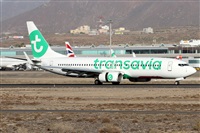 Alfonso Sols - Asociacin Canary Islands Spotting. Click to see full size photo