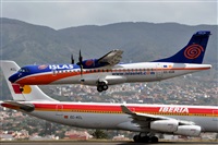 Miguel A. gueda Rguez.  (CANARY ISLANDS SPOTTING). Click to see full size photo