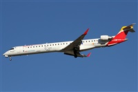 ©Alfonso Solís - Asociación Canary Islands Spotting. Click to see full size photo ©Alfonso Solís - Asociación Canary Islands Spotting. Click to see full size photo