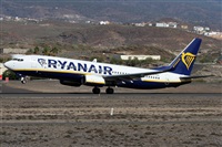 Alfonso Sols - Asociacin Canary Islands Spotting. Click to see full size photo