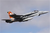 Alfonso Sols - Asociacin Canary Islands Spotting. Click to see full size photo
