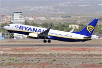 Miguel A. gueda Rguez.  (CANARY ISLANDS SPOTTING). Haz click para ampliar