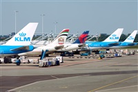 Miguel Martin Cordeiro - Iberian Spotters. Click to see full size photo