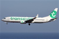 ©Alfonso Solís - Asociación Canary Islands Spotting. Click to see full size photo ©Alfonso Solís - Asociación Canary Islands Spotting. Click to see full size photo
