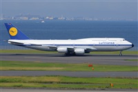 Miguel A. gueda Rguez.  (CANARY ISLANDS SPOTTING). Click to see full size photo
