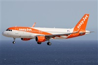 Alfonso Sols - Asociacin Canary Islands Spotting. Haz click para ampliar