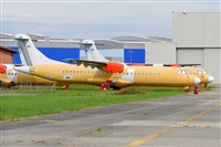 Miguel A. gueda Rguez.  (CANARY ISLANDS SPOTTING). Click to see full size photo