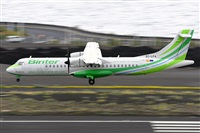 Miguel A. gueda Rguez.  (CANARY ISLANDS SPOTTING). Haz click para ampliar