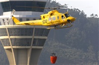 Miguel A. gueda Rguez.  (CANARY ISLANDS SPOTTING). Click to see full size photo