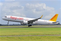 Miguel A. gueda Rguez.  (CANARY ISLANDS SPOTTING). Haz click para ampliar