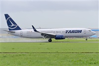 Miguel A. gueda Rguez.  (CANARY ISLANDS SPOTTING). Click to see full size photo