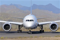 Miguel A. gueda Rguez.  (CANARY ISLANDS SPOTTING). Click to see full size photo