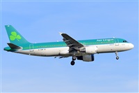 Miguel A. gueda Rguez.  (CANARY ISLANDS SPOTTING). Click to see full size photo