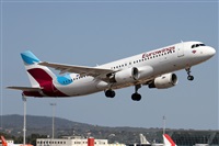 ©Alfonso Solís - Asociación Canary Islands Spotting. Click to see full size photo ©Alfonso Solís - Asociación Canary Islands Spotting. Click to see full size photo