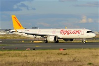 Miguel A. gueda Rguez.  (CANARY ISLANDS SPOTTING). Haz click para ampliar